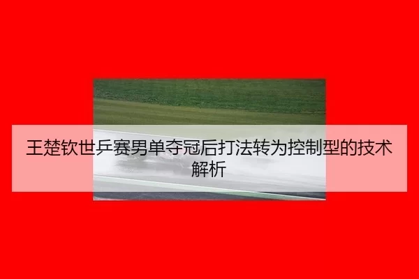 王楚钦世乒赛男单夺冠后打法转为控制型的技术解析