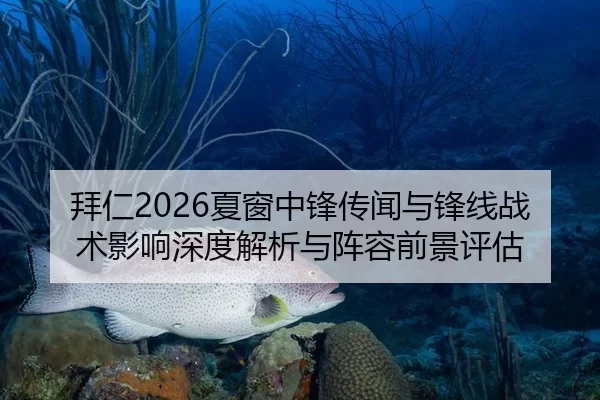 拜仁2026夏窗中锋传闻与锋线战术影响深度解析与阵容前景评估
